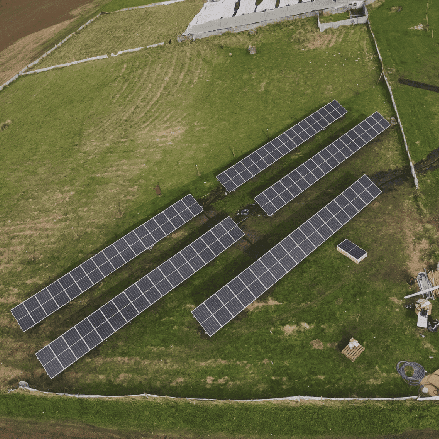 Paneles solares en cultivo de kiwi